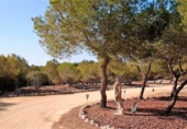 Detached villa with land for sale on España, Rojales, ref: TR159016 photo