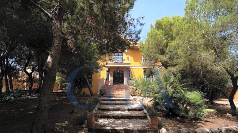 Alicante - Rojales - 13000m2