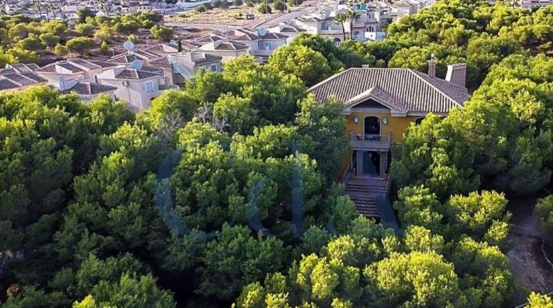 Alicante - Rojales - 13000m2