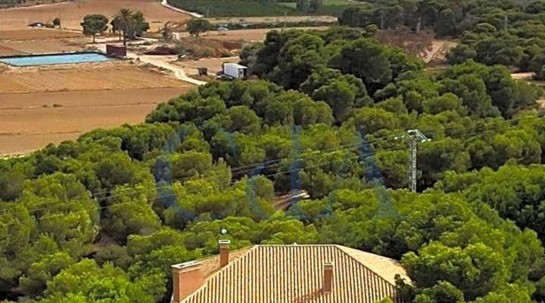 Alicante - Rojales - 13000m2