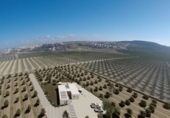 Detached villa with land for sale on España, Algorfa, ref: TR329015 photo