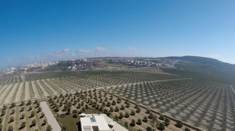 Alicante - Algorfa - 10078m2