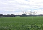 Non-developable land for sale on España, Badajoz, ref: TR240144 photo
