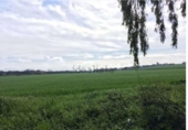 Non-developable land for sale on España, Badajoz, ref: TR240144 photo