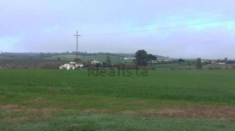 Badajoz - Badajoz - 500m2