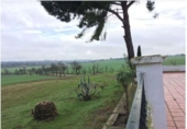 Non-developable land for sale on España, Badajoz, ref: TR240144 photo