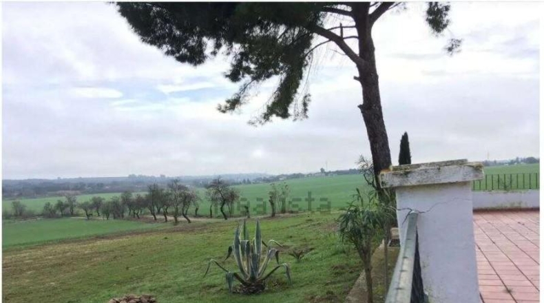 Badajoz - Badajoz - 500m2
