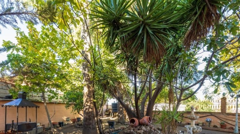 Granada - Ogíjares - 740m2