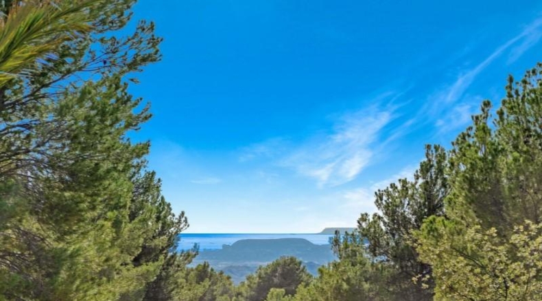 Alicante - Busot - 21419m2