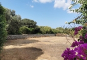 Casa de campo con terreno en venta en la España, Sant Lluís, ref: TR328715 foto