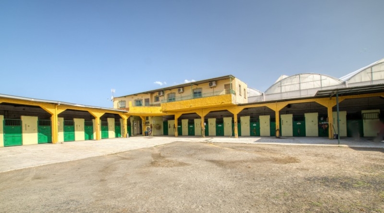 Málaga - Torre del Mar - 4000m2