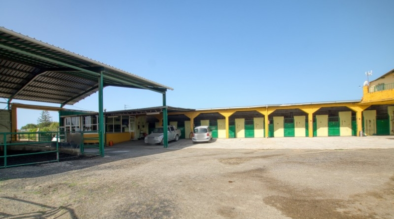 Málaga - Torre del Mar - 4000m2