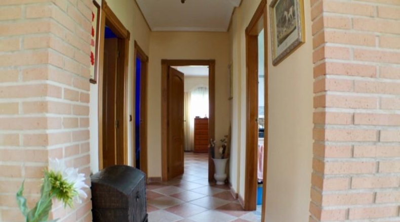 Alicante - Benidorm - 1140m2