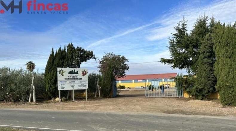 Badajoz - Villagonzalo - 9738m2