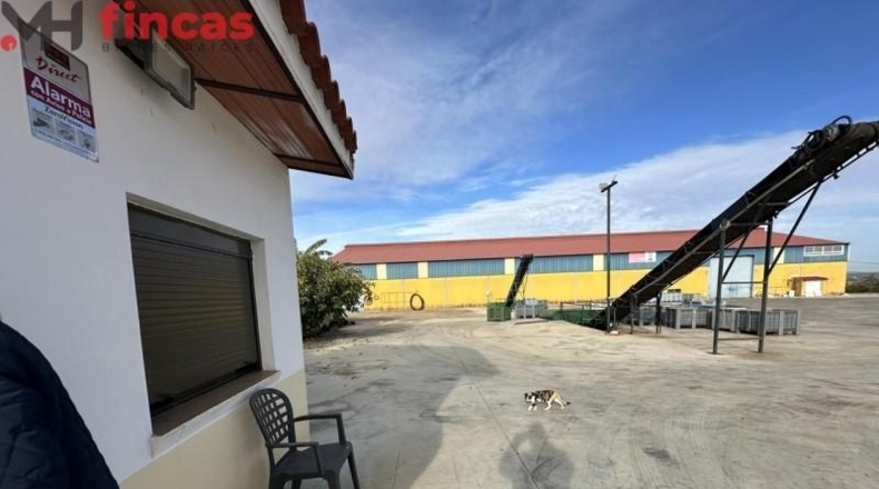Badajoz - Villagonzalo - 9738m2