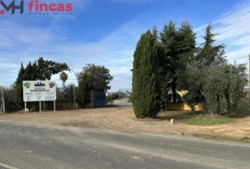 Villagonzalo 9738&nbsp;м²