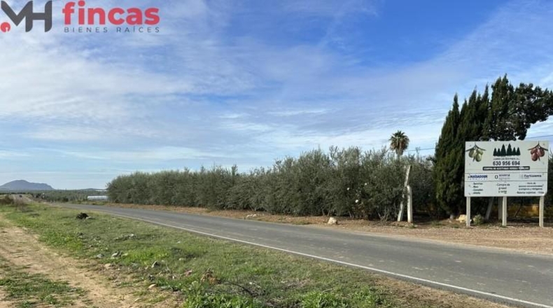 Badajoz - Villagonzalo - 9738m2