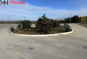 Villagonzalo 9738&nbsp;м²