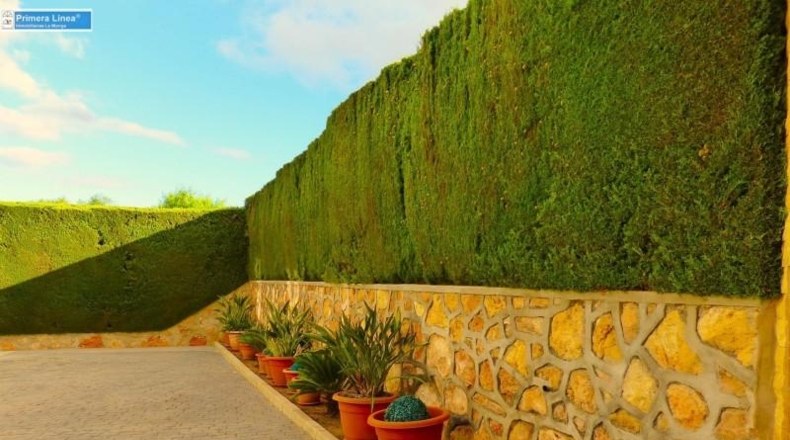 Murcia - Cartagena - 642m2