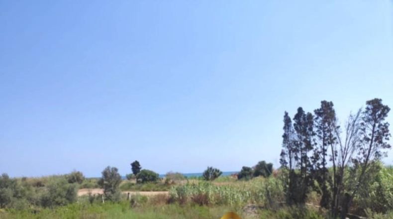 Castellón - Burriana - 3364m2