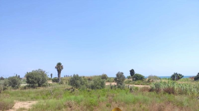 Castellón - Burriana - 3364m2
