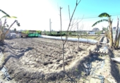 Отдельно стоящий дом с участком на продажу в городе Валенсия Фото