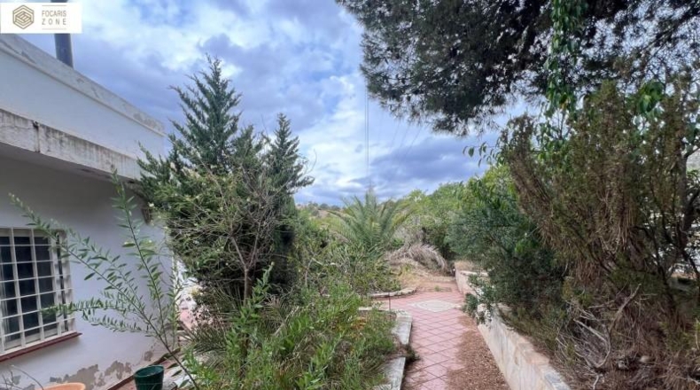Málaga - Málaga - 352m2
