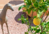 Xalet independent amb terreny en venda a la España, Busot, ref.: TR225968 foto