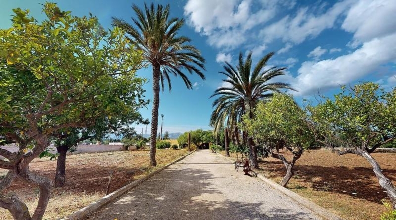 Islas Baleares - Palma - 19396m2