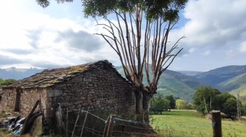Cantabria - Вега-де-Пас - 90738m2