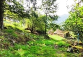 Finca rústica en venda a la España, Vega de Pas, ref.: TR331519 foto