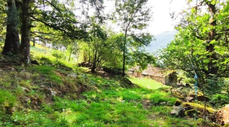 Cantabria - Вега-де-Пас - 90738m2