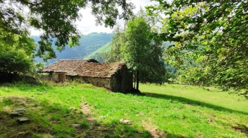 Cantabria - Вега-де-Пас - 90738m2
