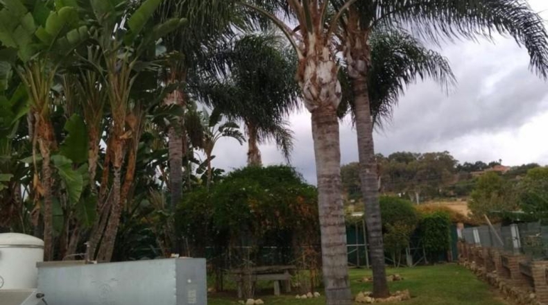 Málaga - Estepona - 4000m2
