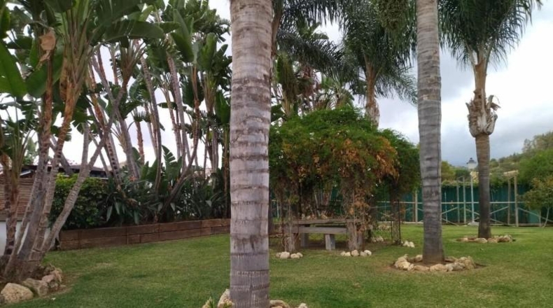 Málaga - Estepona - 4000m2