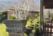 Finca rústica en venda a la España, Llames, ref.: TR352063 foto