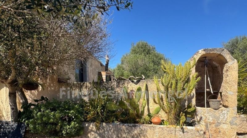 Islas Baleares - Ciutadella - 210000m2