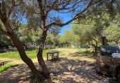 Casa de camp amb terreny en venda a la España, Ciutadella de Menorca, ref.: TR154254 foto