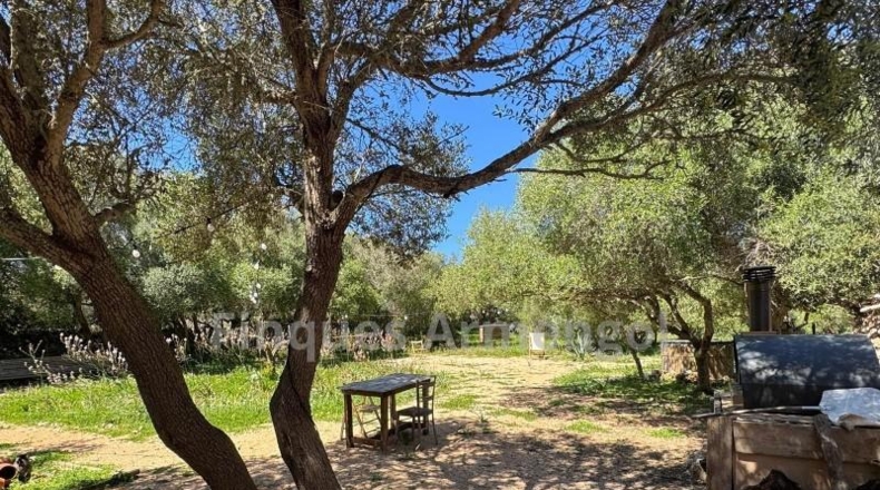 Islas Baleares - Ciutadella - 210000m2