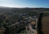 Casa de camp amb terreny en venda a la España, Arcos de la Frontera, ref.: TR129523 foto