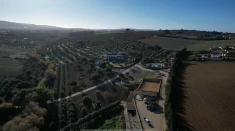 Cadiz - Arcos de la Frontera - 51804m2