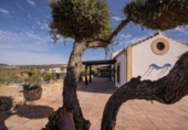 Casa de camp amb terreny en venda a la España, Arcos de la Frontera, ref.: TR129523 foto