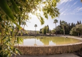Casa de camp amb terreny en venda a la España, Arcos de la Frontera, ref.: TR129523 foto