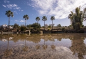 Casa de camp amb terreny en venda a la España, Arcos de la Frontera, ref.: TR129523 foto
