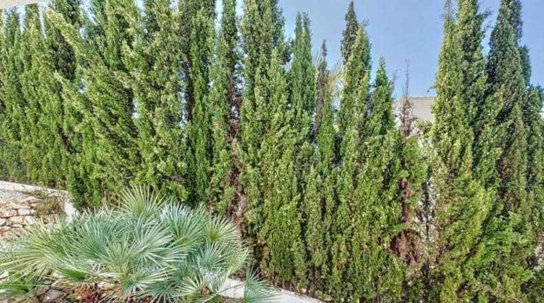 Alicante - Benitachell - 1111m2