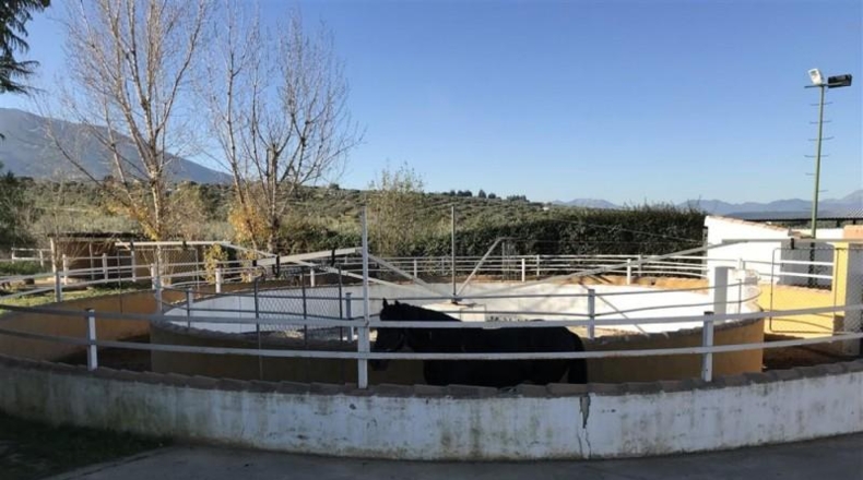 Málaga - Alhaurín de la Torre - 6037m2
