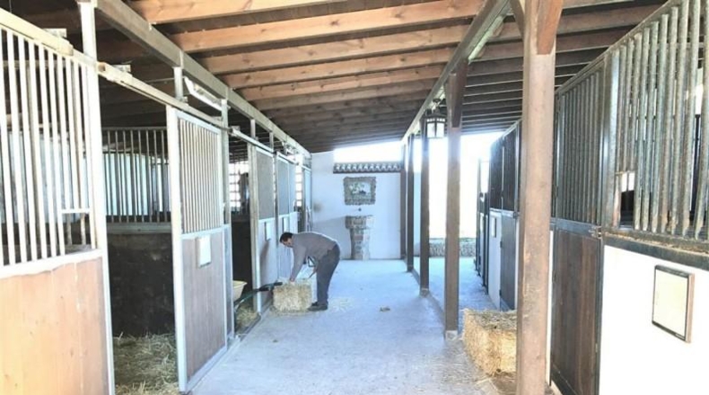 Málaga - Alhaurín de la Torre - 6037m2