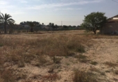 Parcel·la urbanitzable en venda a la España, Elx, ref.: TR112768 foto
