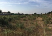Parcel·la urbanitzable en venda a la España, Elx, ref.: TR112768 foto