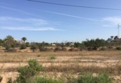 Parcel·la urbanitzable en venda a la España, Elx, ref.: TR112768 foto